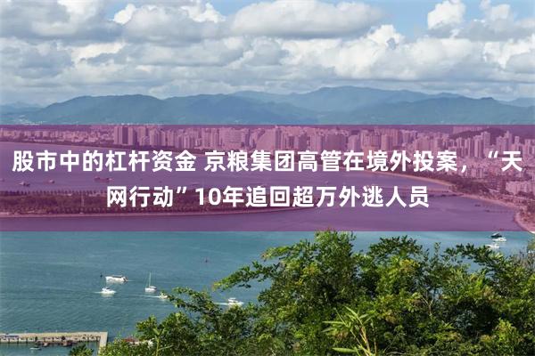 股市中的杠杆资金 京粮集团高管在境外投案，“天网行动”10年追回超万外逃人员