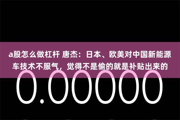 a股怎么做杠杆 唐杰：日本、欧美对中国新能源车技术不服气，觉得不是偷的就是补贴出来的