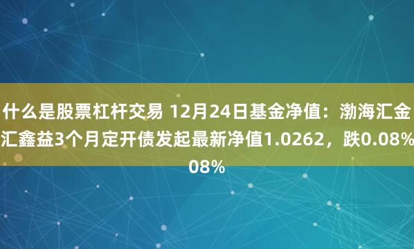 什么是股票杠杆交易 12月24日基金净值：渤海汇金汇鑫益3个月定开债发起最新净值1.0262，跌0.08%