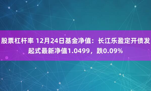 股票杠杆率 12月24日基金净值：长江乐盈定开债发起式最新净值1.0499，跌0.09%