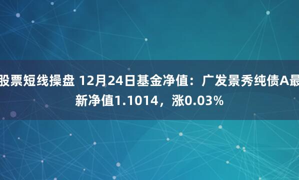 股票短线操盘 12月24日基金净值：广发景秀纯债A最新净值1.1014，涨0.03%