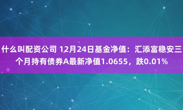 什么叫配资公司 12月24日基金净值：汇添富稳安三个月持有债券A最新净值1.0655，跌0.01%