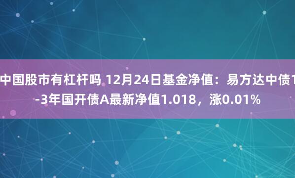 中国股市有杠杆吗 12月24日基金净值：易方达中债1-3年国开债A最新净值1.018，涨0.01%