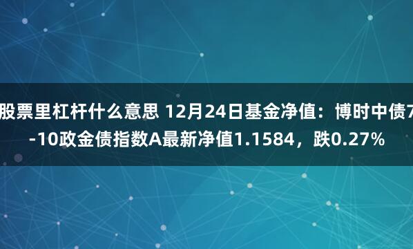 股票里杠杆什么意思 12月24日基金净值：博时中债7-10政金债指数A最新净值1.1584，跌0.27%