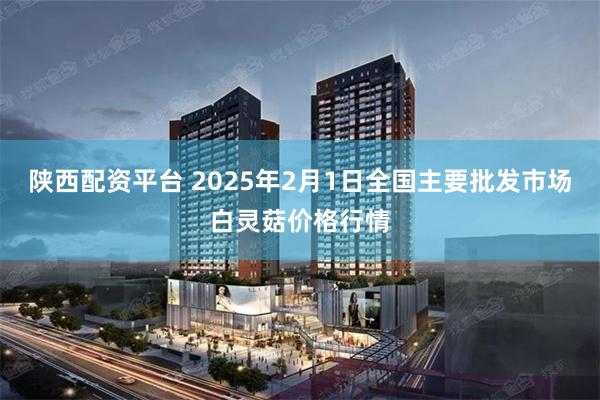 陕西配资平台 2025年2月1日全国主要批发市场白灵菇价格行情