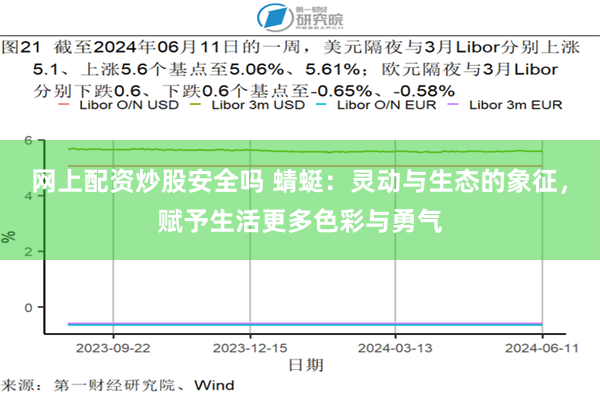 网上配资炒股安全吗 蜻蜓：灵动与生态的象征，赋予生活更多色彩与勇气