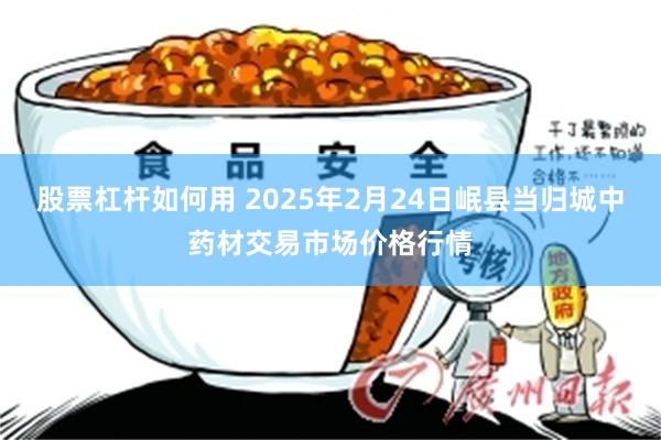 股票杠杆如何用 2025年2月24日岷县当归城中药材交易市场价格行情