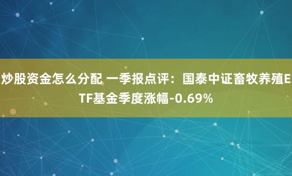 炒股资金怎么分配 一季报点评：国泰中证畜牧养殖ETF基金季度涨幅-0.69%