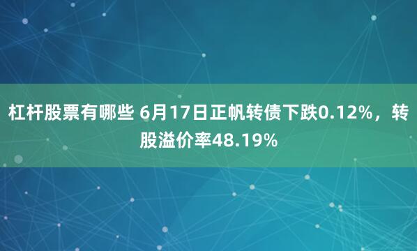 杠杆股票有哪些 6月17日正帆转债下跌0.12%，转股溢价率48.19%