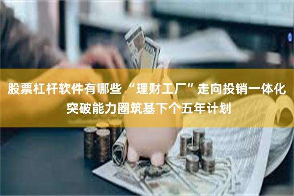 股票杠杆软件有哪些 “理财工厂”走向投销一体化 突破能力圈筑基下个五年计划