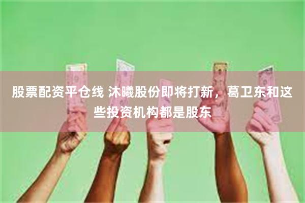 股票配资平仓线 沐曦股份即将打新，葛卫东和这些投资机构都是股东